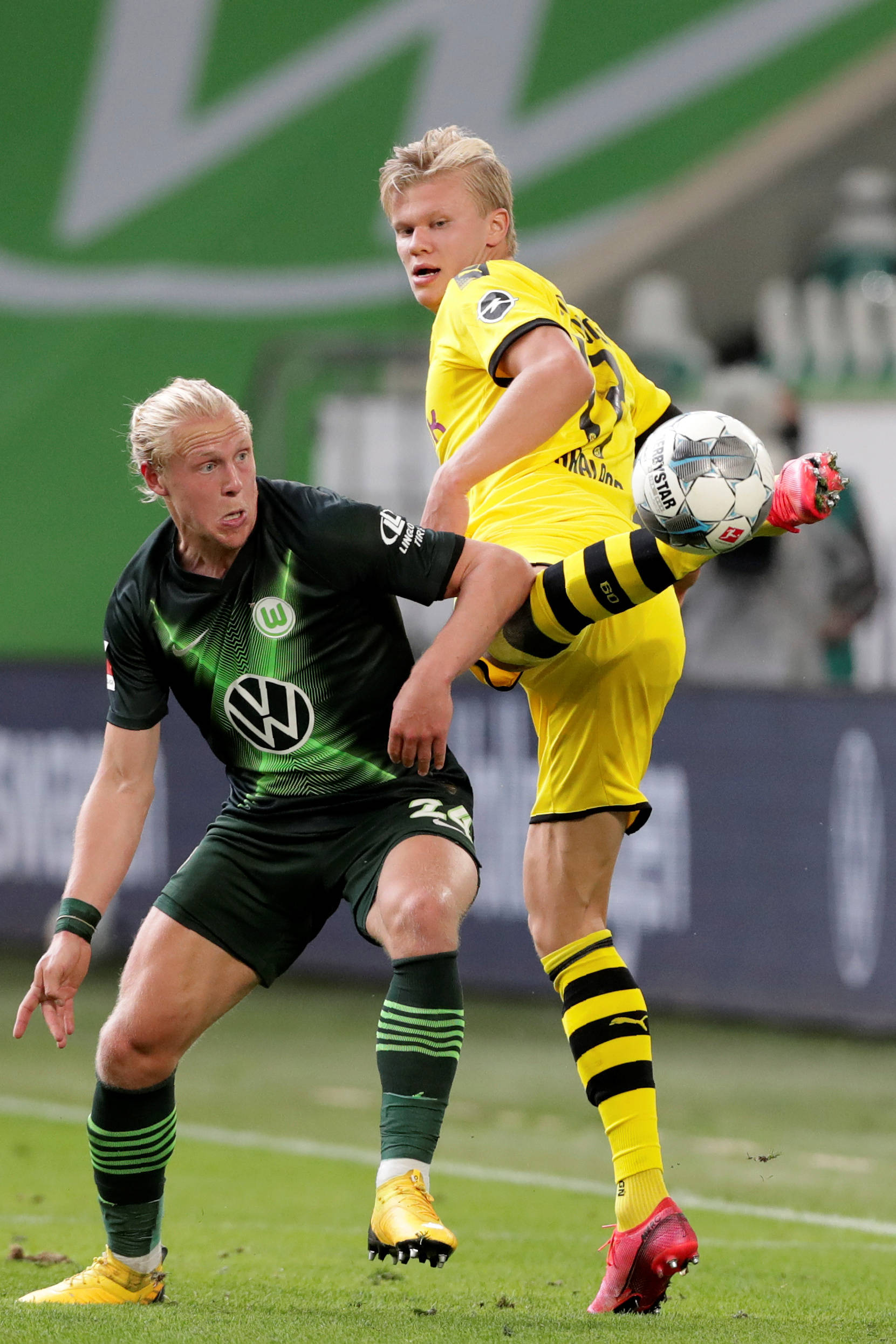 海牛在后卫 海牛在后卫